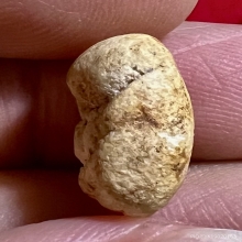 พระสังกัจจายน์ กรุอัมพวา พิมพ์นิยมหายากสุดๆ สวยมากสมบูรณ์