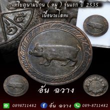 เหรียญนามปี “ปีกุน” ปีหมู บล็อกทองคำ เนื่อนวะโลหะ