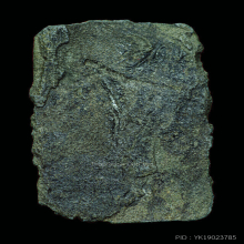 พระปิดตาหลวงปู่ทอง วัดราชโยธา  