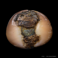 เบี้ยแก้ หลวงพ่อคำ วัดโพธิ์ปล้ำ จ.อ่างทอง