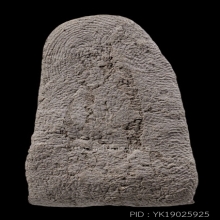 หลวงปู่ทวดเนื้อว่าน พิมพ์เล็ก วัดเมือง อิคคิวซัง