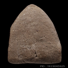 หลวงปู่ทวดเนื้อว่าน พิมพ์ใหญ่ วัดเมือง เนื้อโอวัลตินนิยม