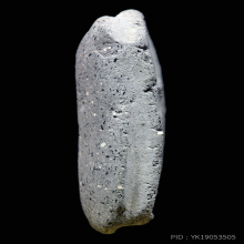 พระพิมพ์เล็บมือหลวงปู่พริ้งวัดบางปะกอก