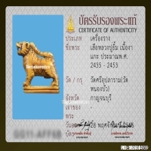 เสือหลวงปู่ยิ้ม วัดหนองบัว จ.กาญจนบุรี