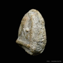 พระปิดตา กรุวัดคลองขอม หลวงปู่ศุขปลุกเสก