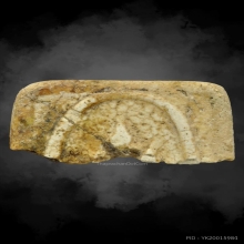 ชิ้นส่วนพระสมเด็จวัดเกศไชโย