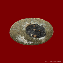 รูปหล่อลอยองค์ ไอ้ไข่(เด็กวัดเจดีย์) รุ่นแรก ปี46 นำฤกษ์