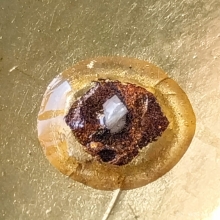 ล็อกเก็ตหลวงปู่โต๊ะปี 34  บรรจุอัฐิและเกศา