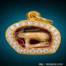 เสือหลวงพ่อปาน วัดคลองด่าน ตัวจริง สุดหายาก