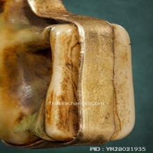 เสือหลวงพ่อปาน วัดคลองด่าน ตัวจริง สุดหายาก