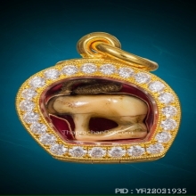 เสือหลวงพ่อปาน วัดคลองด่าน ตัวจริง สุดหายาก