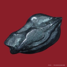 พระปิดตาหลวงพ่อคง วัดบางกะพี้ จ.ชัยนาท เนื้อเมฆพัด