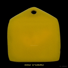 พ.พาน หลวงปู่เย็น ทานรโต (ยุคแรก) วัดสระเปรียญ จ.ชัยนาท