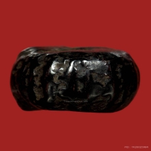 พิสมรจิ๋วรักษ์ร้อยปี มันส์ลึกปึกๆ 