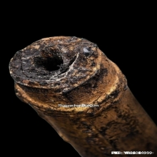 ตะกรุดหนังหน้าผากเสือ หลวงพ่อเที่ยง วัดม่วงชุม