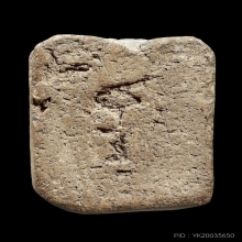 ลพ.ปาน วัดบางนมโค ขี่นก