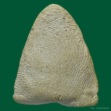 หลวงปู่ทวด วัดปราสาทปี06