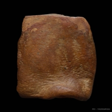 พระรอดวัดมหาวันพิมพ์กลาง