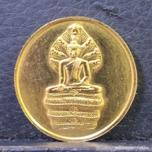 เหรียญพระนาคปรกปางมารวิชัย หลังสธ. 3 รอบ พระเทพฯ ปี34