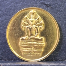 เหรียญพระนาคปรกปางมารวิชัย หลังสธ. 3 รอบ พระเทพฯ ปี34