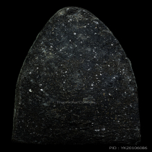 หลวงปู่ทวด เนื้อว่าน ปี24 วัดช้างให้ พิมพ์กลาง