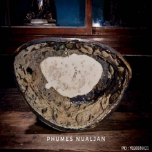 ที่สุดของพระบูชา/หลวงพ่อแพ วัดพิกุลทอง สิงห์บุรี