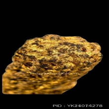 ตะกรุดหนังหน้าผากเสือ หลวงพ่อเต๋ วัดสามง่าม จ.นครปฐม