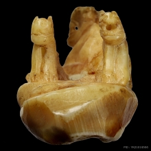 เสือสามตัวเขี้ยวแกะ หลวงพ่อเรือน วัดคลองด่าน