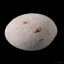 ลูกอมหลวงพ่อคง วัดบางกะพ้อม