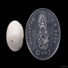 ลูกอมหลวงพ่อคง วัดบางกะพ้อม