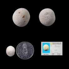 ลูกอมหลวงพ่อคง วัดบางกะพ้อม