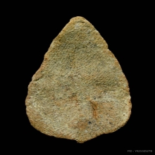 พระกลีบบัว เนื้อดิน กรุวัดลิงขบ กรุงเทพฯ