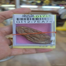 พระขุนแผนไข่ผ่า กรุวัดพระรูป