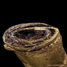 ตะกรุดหนังหน้าผากเสือ หลวงพ่อจง วัดหน้าต่างนอก