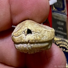 พระสังกัจจายน์ วัดประสาท 2506เนื้อขาว นิยมสมบูรณ์เนื้อจัดมาก