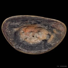 พระบูชาพระสังกัจจายน์