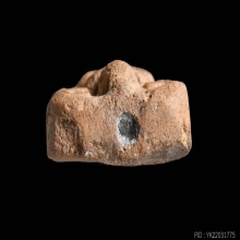 หลวงพ่อปาน พิมทรงปลาหมอ เนื่อดิน วัดบางนมโค อยุธยา