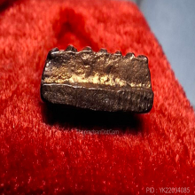 หลวงพ่อทวด เนื้อนาค รุ่นสร้างโรงพยาบาลโคกโพธิ์ ปี 2539 