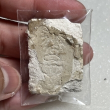 พระสมเด็จนาคปรก มงคลมหาลาภ ปี ๒๔๙๙ 