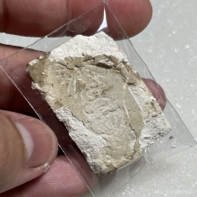 พระสมเด็จนาคปรก มงคลมหาลาภ ปี ๒๔๙๙ 