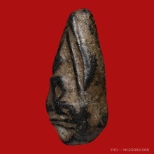 นางกำแพงเม็ดมะเคล็ด 