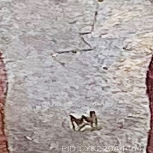 พระพิมพ์ปรกใบมะขาม หลวงปู่ดู่ เนื้อทองแดง  ปี 2540 