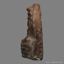 ปรกซุ้มยอ กำแพง