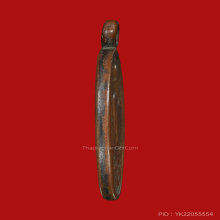 เหรียญรุ่นแรกหลวงพ่อสาย วัดเสือ พ.ศ. ๒๔๖๒