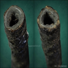 ตะกรุดสาริกา..หลวงปู่ศุข วัดปากคลองฯชัยนาท ยาว 2นิ้ว สวยเดิม