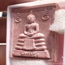 พระหางหมาก หลวงพ่อฤาษีลิงดำ วัดท่าซุง