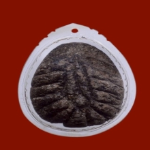 โยนีหลวงพ่อผินะ วัดสนมลาว จ.สระบุรี