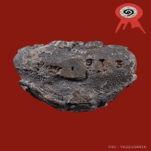 พระปิดตายันต์ยุ่ง (นิยม) เนื้อนวะ หลวงปู่หมุน ฐิตสีโล 