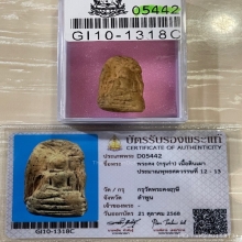 +บัตรสมาคม พระคงลำพูน กรุเก่า เนื้อนิยม