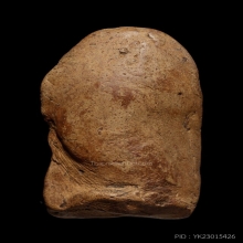 +บัตรสมาคม พระคงลำพูน กรุเก่า เนื้อนิยม